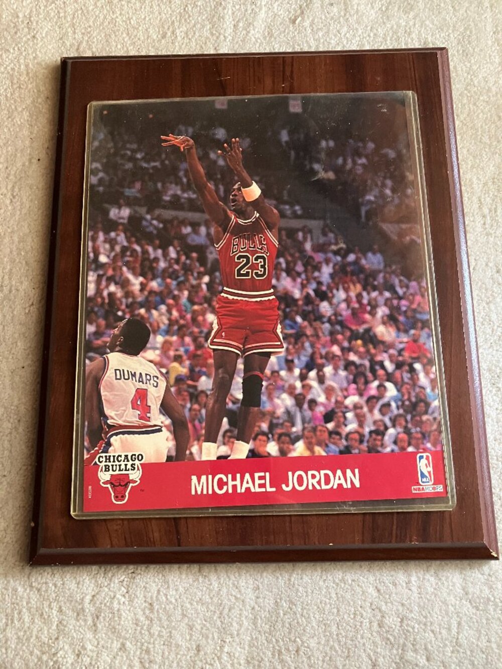 Michael Jordan Wood Plaque